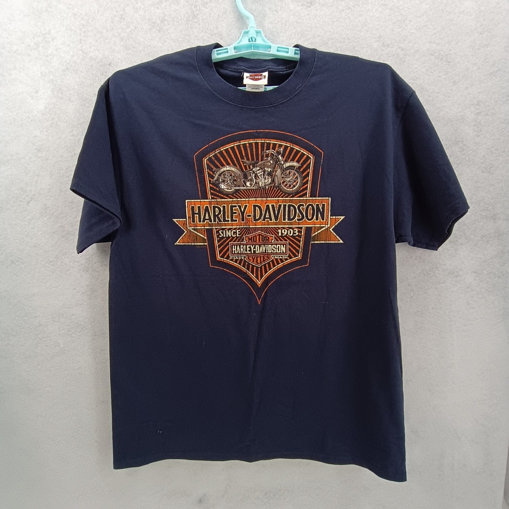 Harley-Davidson T-Shirt Men L Blue Starved Rock H-D Ottawa IL Graphic Biker Tee